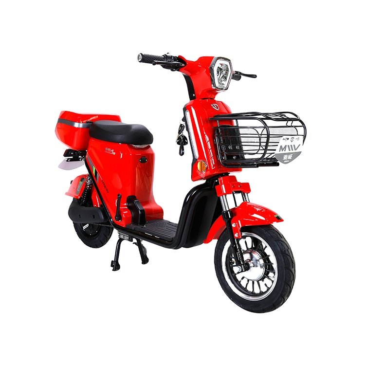 48V Electric Bike Two Person Electric Bicycle Chinese E Bikes 2023 Electric Bicycle