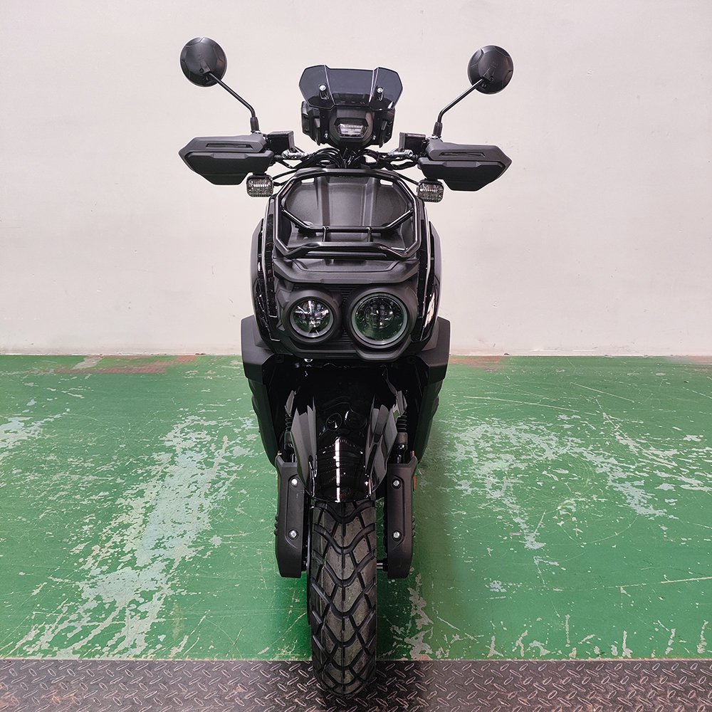EPA DOT Gasoline Motor 150cc 200cc Gas Scooter Power Max Speed 85km/h Front Disc Brake ABS System for Adult