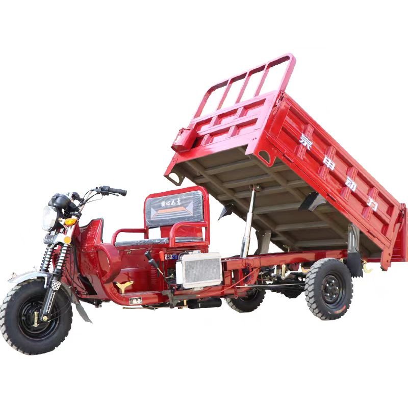 200cc Three-Wheeled Oil Engine Gasoline Motor Motorized Tricycles for Adults