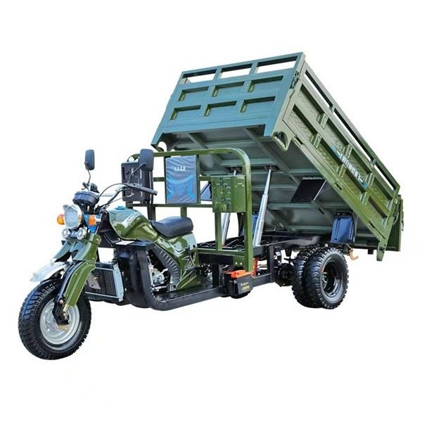 Electric 350cc Moto Cargo Tricycle Scooter 3-Wheel Agricultural Car 150cc Petrol Engine 1000W Power Closed Body EEC Passengers