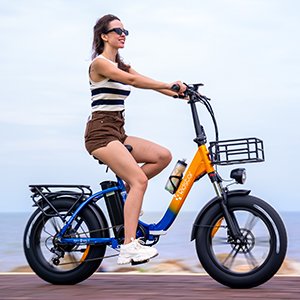 20 Inch 48V/15ah Electric Road Bike 1000W Lithium Battery Vintage Womens Retro Cargo Bike Electric Delivery Bike