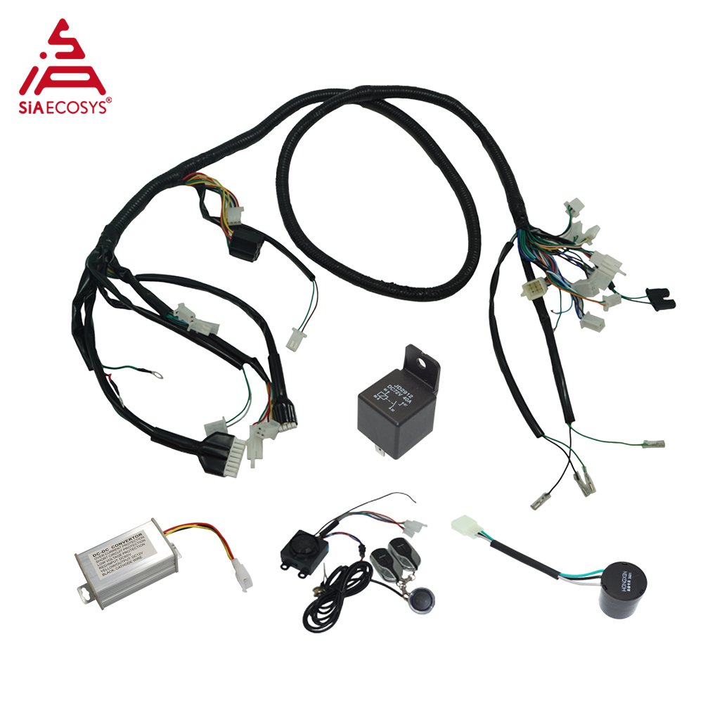 QS212 1000W 10*2.15inch V1.12 60V Hub Motor Kit with ZWK060032A Controller for Electric Scooter