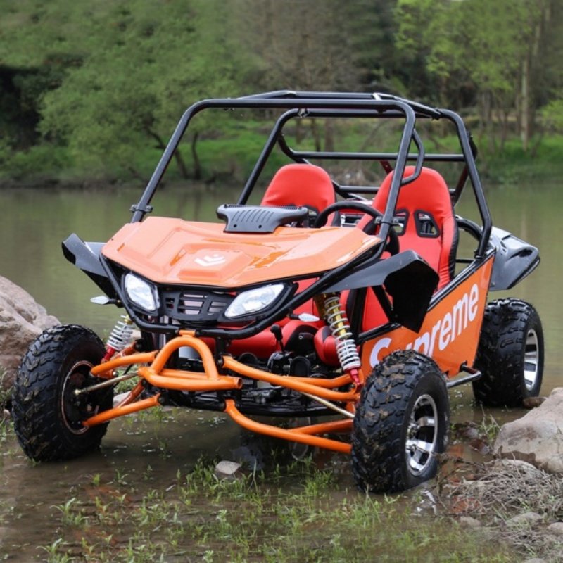 2 Seater Four Strokes Air-cooled Go Kart Gasoline Go Karts for Kids Adult