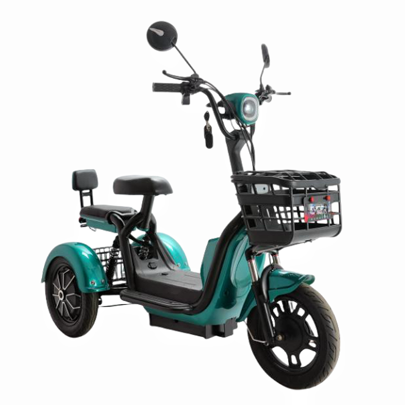 Luxury 1000W Carbon Steel Electric Tricycle for Family Use With Foldable Seat and Long Battery Life