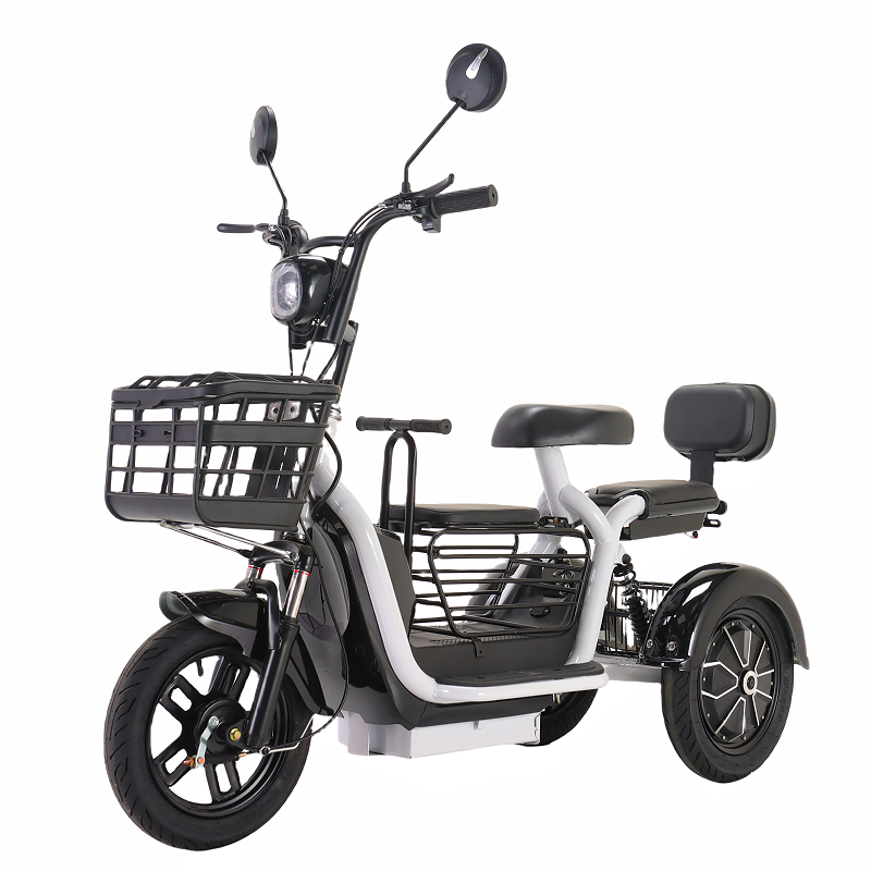 Luxury 1000W Carbon Steel Electric Tricycle for Family Use With Foldable Seat and Long Battery Life
