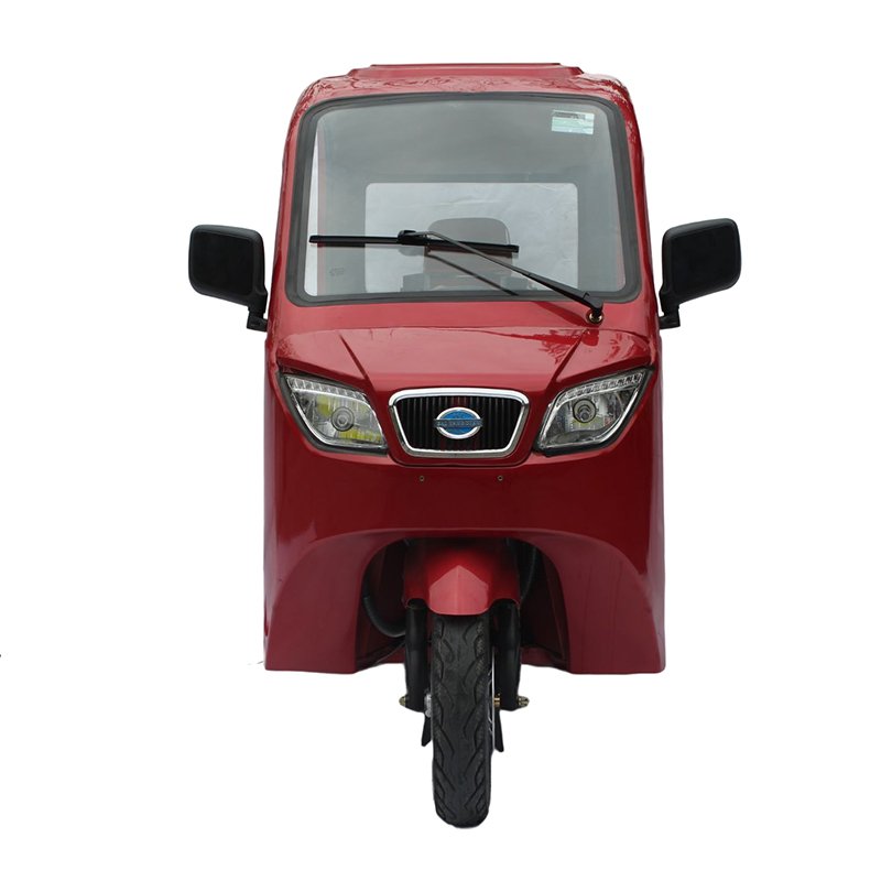 Enclosed Cabin Passenger 3 Wheel Motorcycle