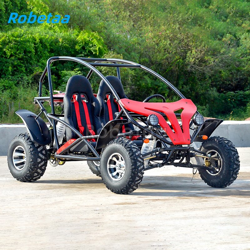 2 Seater Go Kart 200cc Gokart 4x4 New Design Go Kart Kits for Sale