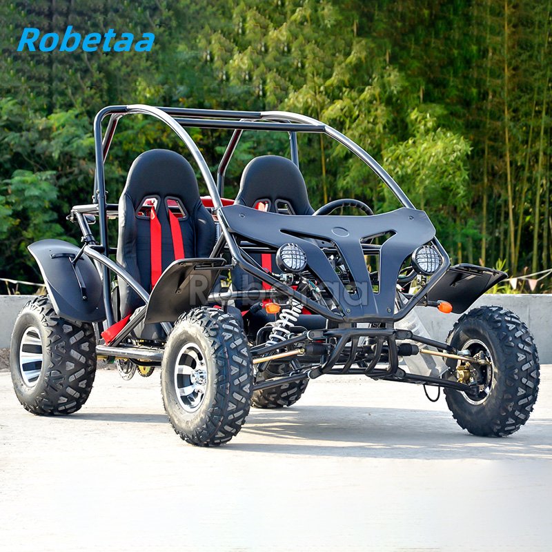 2 Seater Go Kart 200cc Gokart 4x4 New Design Go Kart Kits for Sale