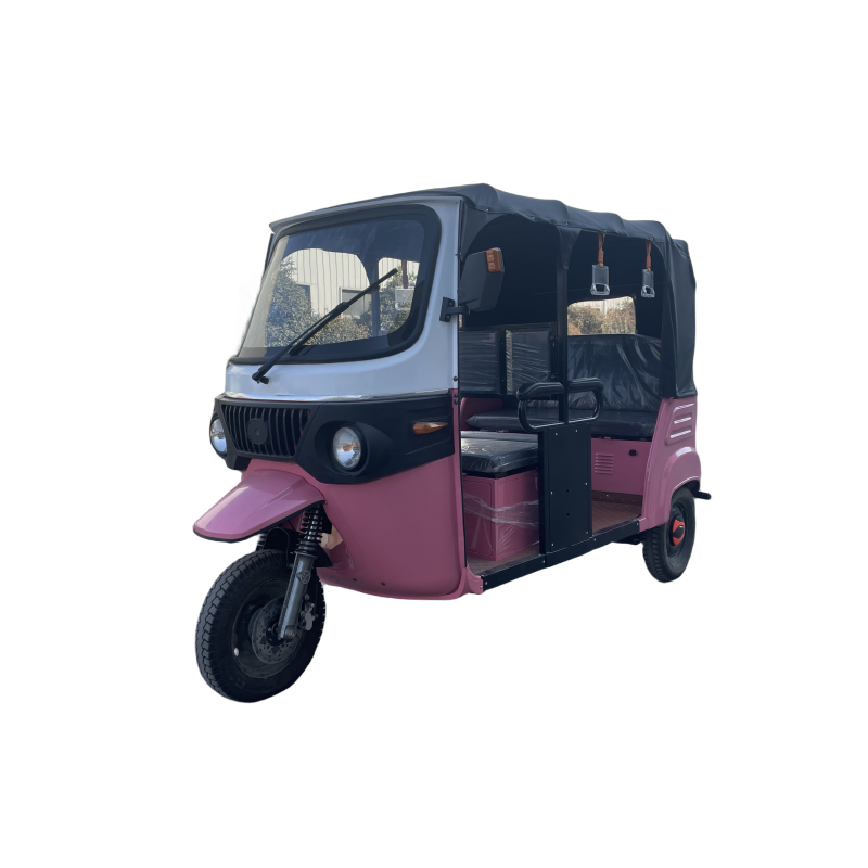 Manufacturer Top Sale Passenger Gasoline Tuk Tuk Tricycle 3 Wheels Petrol Passenger Tricycle Car for 4-6 People