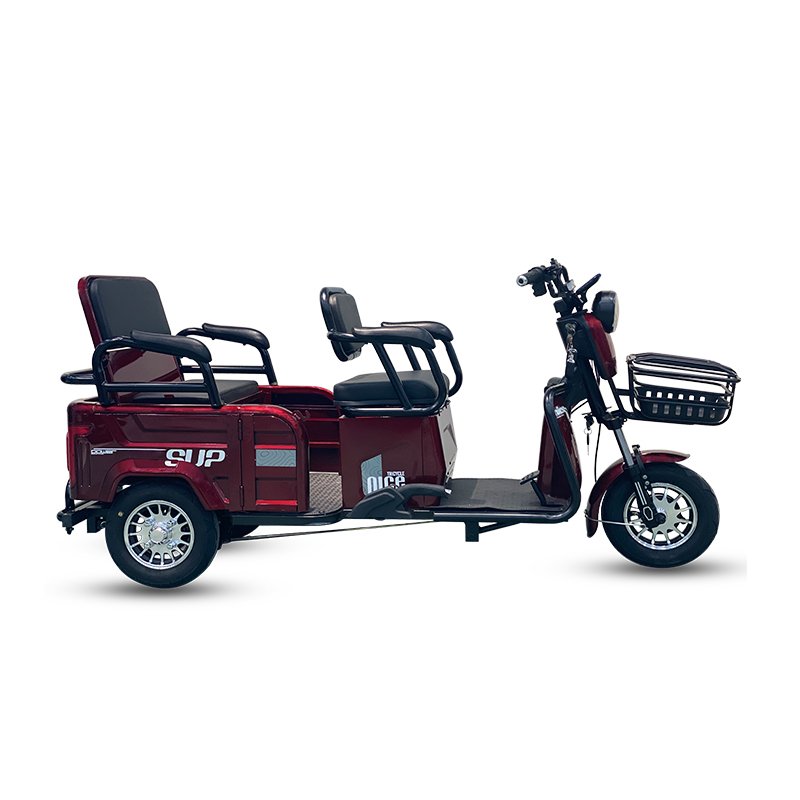 Tailor-Made Production Essance Electric Cargo Dumper Garbage Transportation Electric Tricycle
