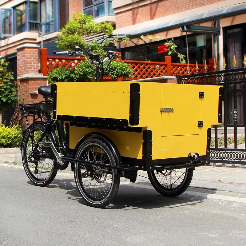New Design 3 Wheel School Bus CE Certificate Children or Pets E-bike Front Loading Cargo Bike Electric 3 Wheels Cargo Bicycle