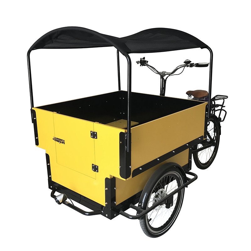 New Design 3 Wheel School Bus CE Certificate Children or Pets E-bike Front Loading Cargo Bike Electric 3 Wheels Cargo Bicycle