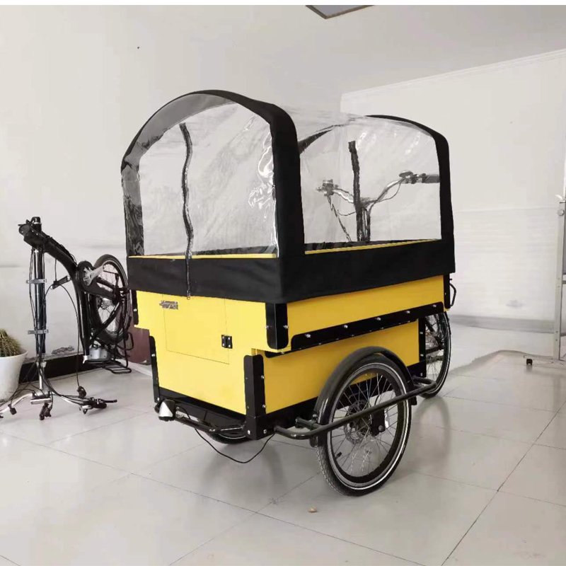 New Design 3 Wheel School Bus CE Certificate Children or Pets E-bike Front Loading Cargo Bike Electric 3 Wheels Cargo Bicycle
