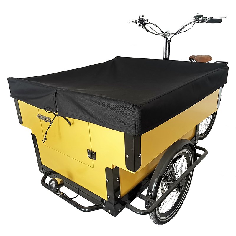 New Design 3 Wheel School Bus CE Certificate Children or Pets E-bike Front Loading Cargo Bike Electric 3 Wheels Cargo Bicycle