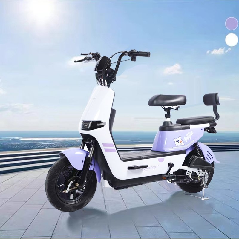 Adults Drum Brake 48V12AH/20AH Electric Bicycle Lead-acid Battery Bike 500W Motor Electric City E Bike Motorcycle