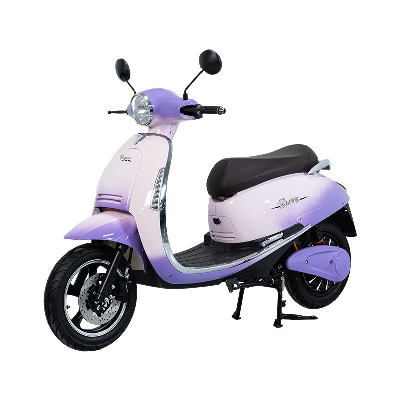 XTE India 1000W 45 km/h Front Disc Brake and Rear Drum Brake Electric Motorcycle Electric Bicycles
