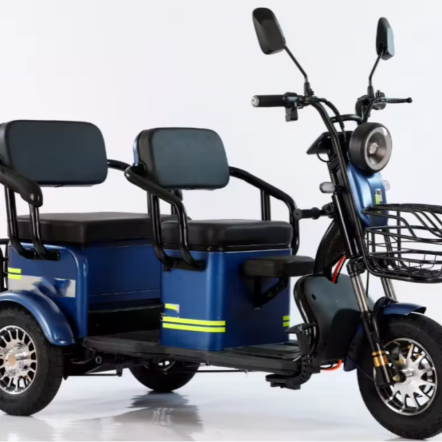 Electric Tricycles 3 Wheel Electric Cargo Bike Household Three-seat Adjustable Electric Tricycles