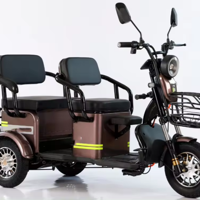 Electric Tricycles 3 Wheel Electric Cargo Bike Household Three-seat Adjustable Electric Tricycles