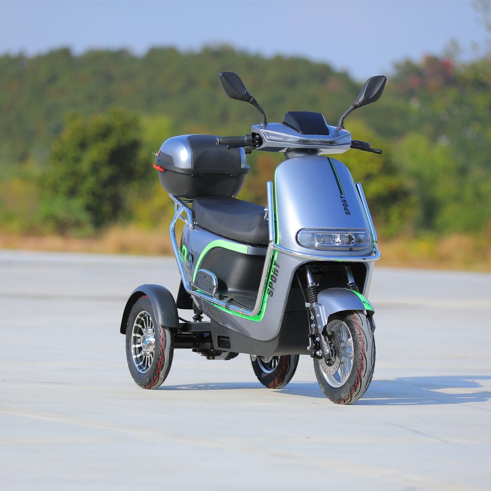 Wholesale 800W 3 Wheel Electric Bicycle Family Use Electric Moped 3 Wheels Electric Motorcycle for Adults