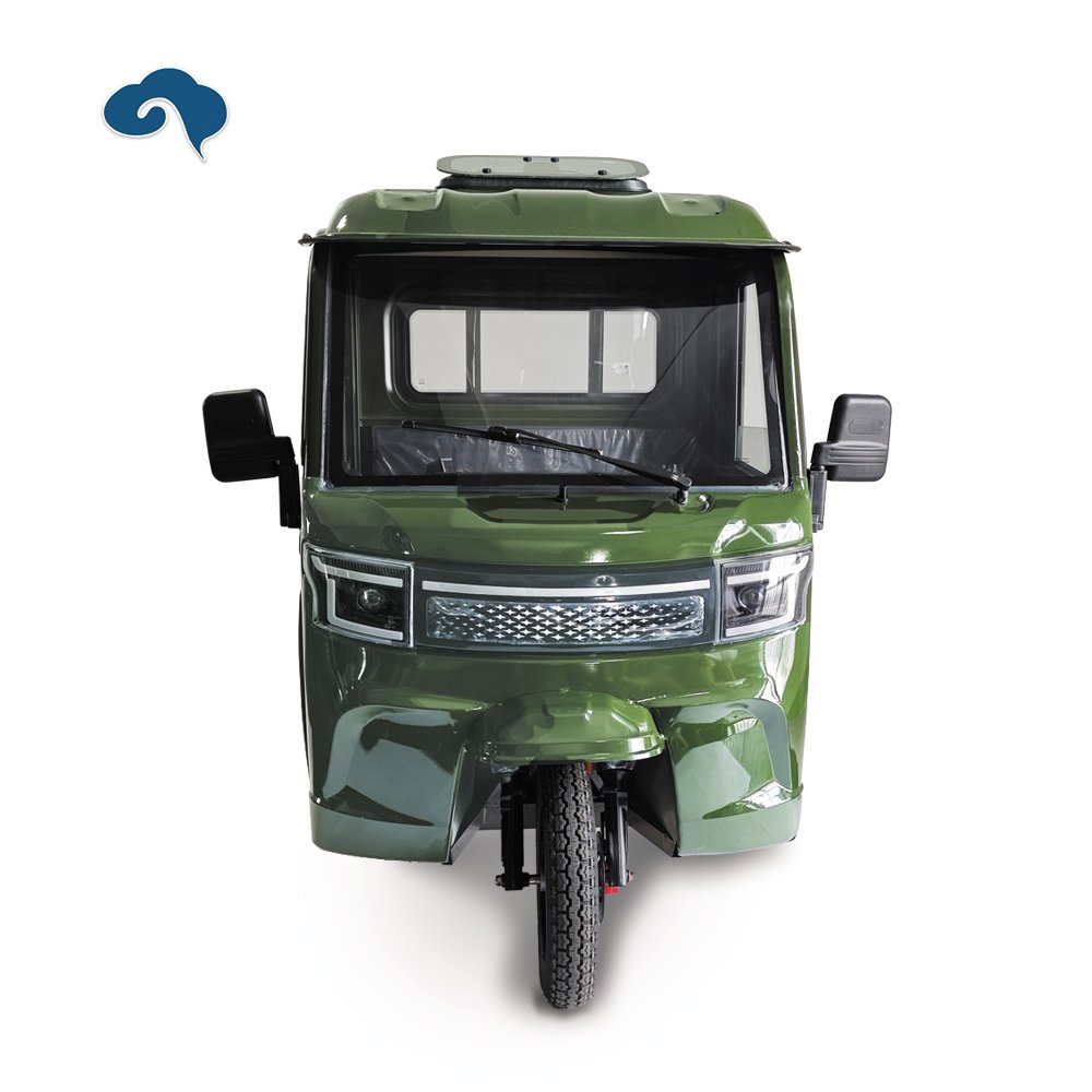 New Arrival Factory 1000W Electric Tricycle Three Wheel E Motorcycle With Rainproof Cabin