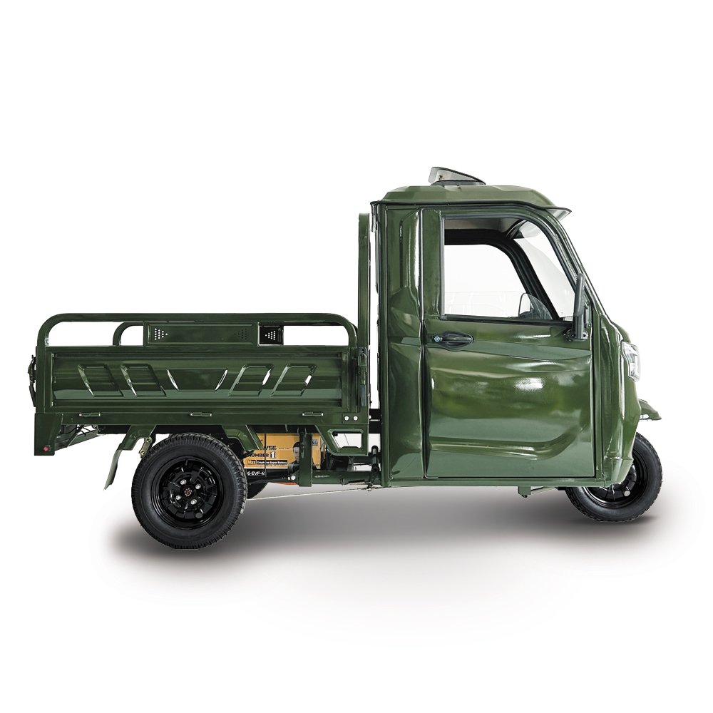New Arrival Factory 1000W Electric Tricycle Three Wheel E Motorcycle With Rainproof Cabin