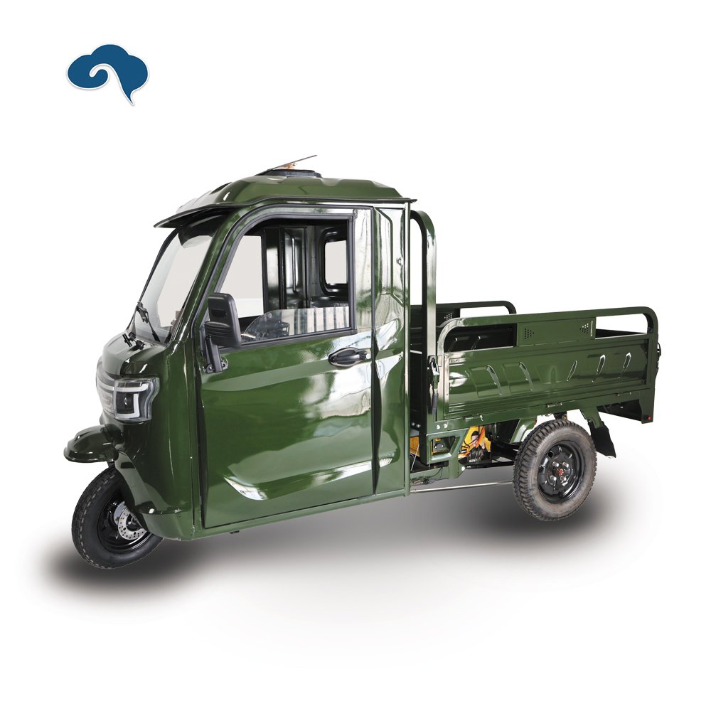 New Arrival Factory 1000W Electric Tricycle Three Wheel E Motorcycle With Rainproof Cabin