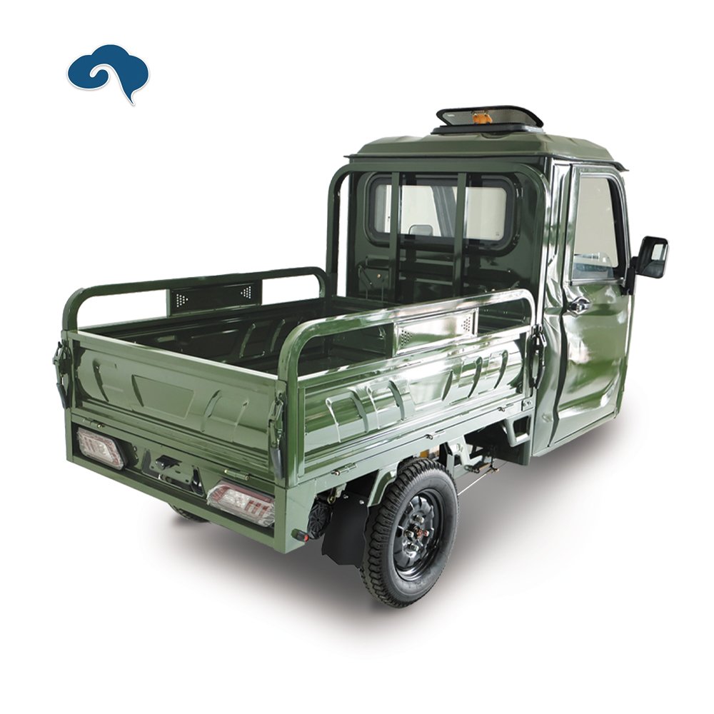 New Arrival Factory 1000W Electric Tricycle Three Wheel E Motorcycle With Rainproof Cabin