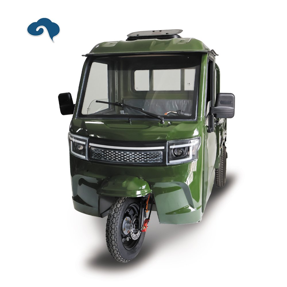 New Arrival Factory 1000W Electric Tricycle Three Wheel E Motorcycle With Rainproof Cabin