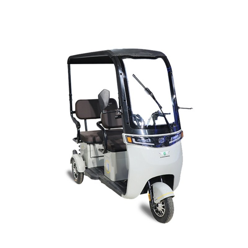 QSD Factory 48v Electric 3-Wheel Adults Tricycle Durable Roof Recreational E Bike Mobility Scooter Open Body Type
