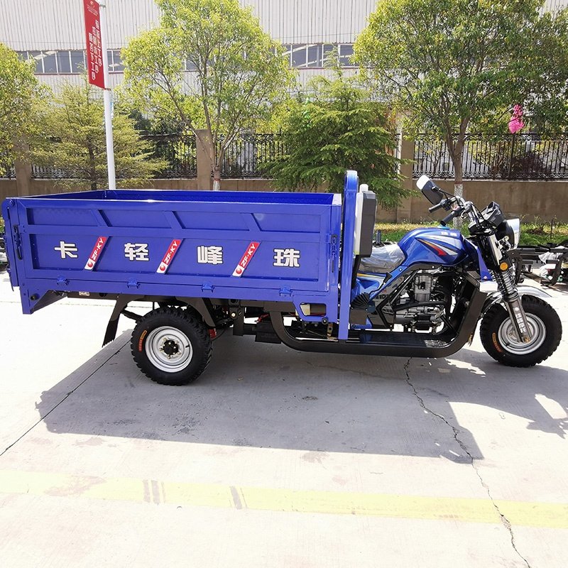 300cc Water Tank Heavy Loading Oil Brake Tank Tricycle Max Body Clutch OEM Cylinder Engine Cargo Cooling Mode Method Origin Su