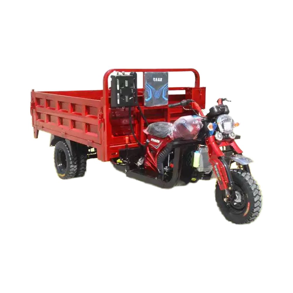 Factory Fashionable Electric Tricycle Enclosed With Big Wheel Tricycle Motorized Tricycle