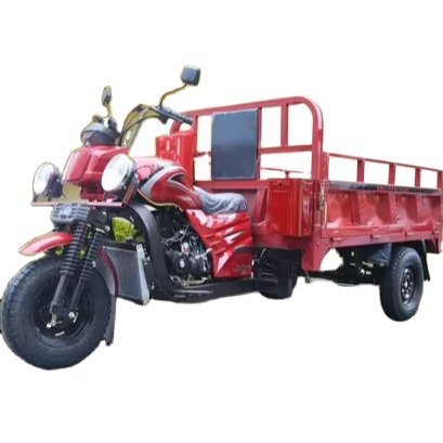 Factory Fashionable Electric Tricycle Enclosed With Big Wheel Tricycle Motorized Tricycle