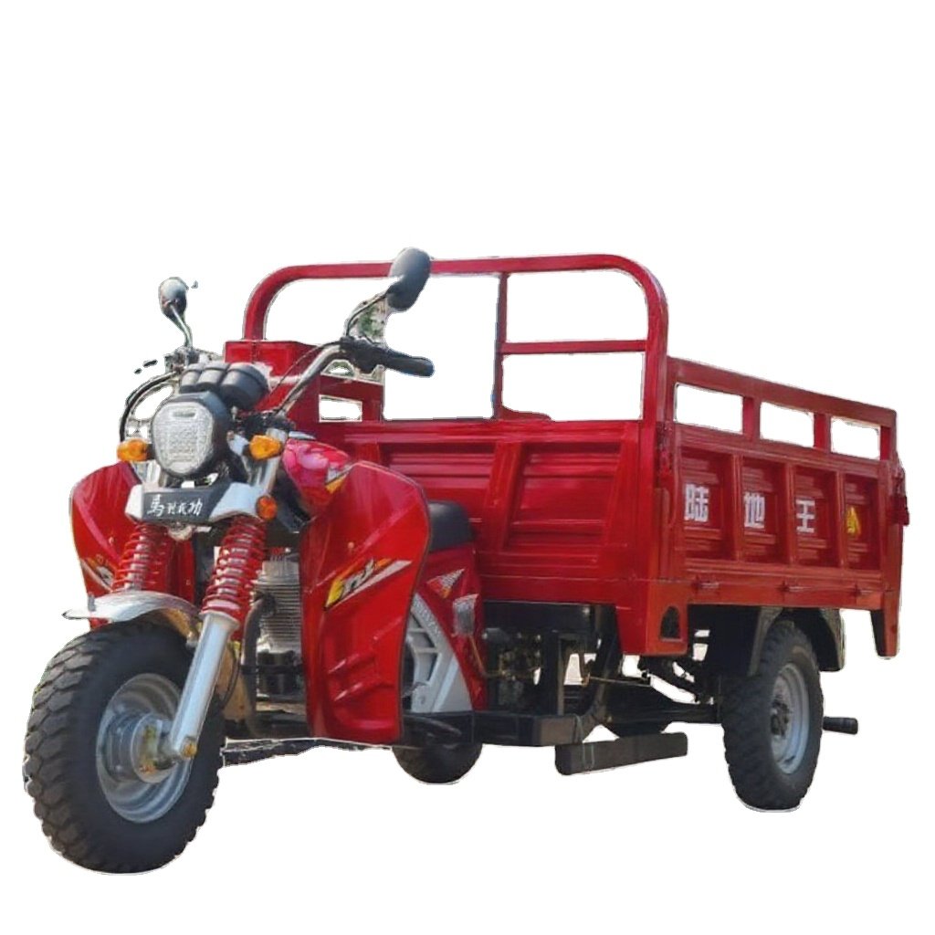 Factory Fashionable Electric Tricycle Enclosed With Big Wheel Tricycle Motorized Tricycle