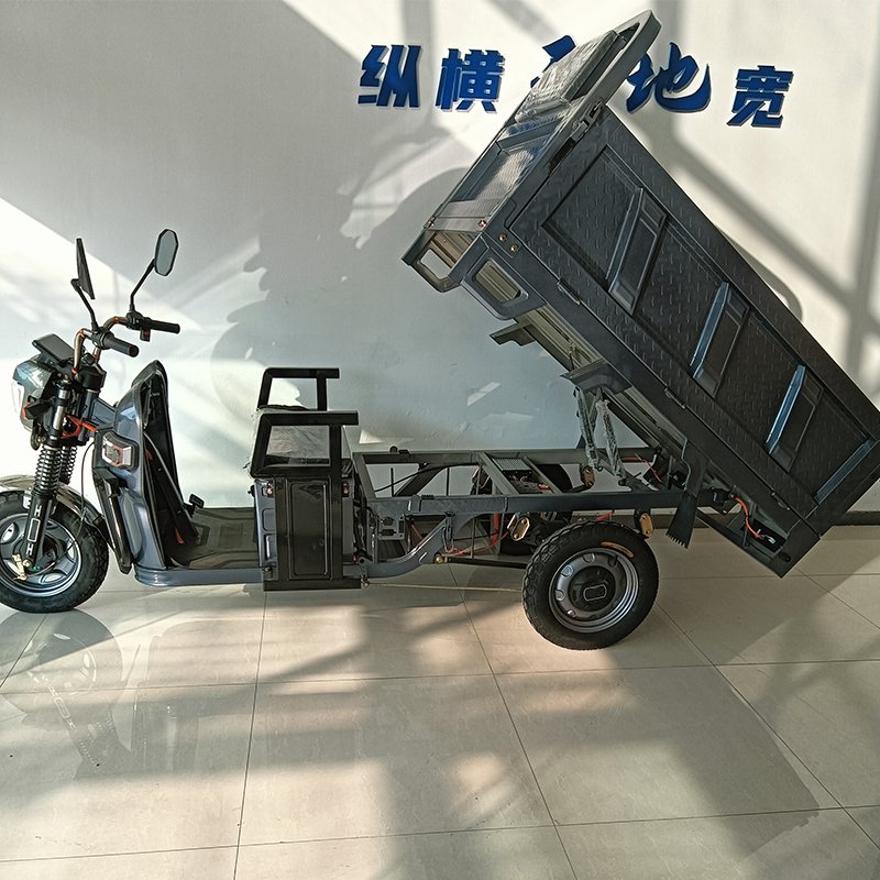 Hot Sales Powerful Electric Cargo Tricycle Adult Three Wheel Cargo Transportation