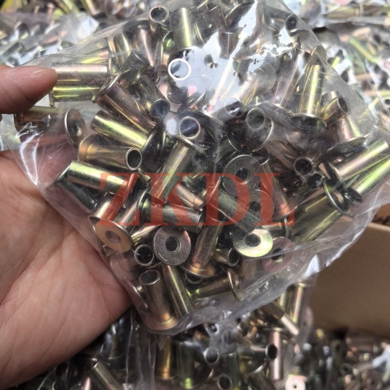 Truck Axle Brake Shoe Parts Aluminum/Iron Plated Brass 8*22 10*20 10*22 Solid/Hollow Rivets Assembly for Truck Parts