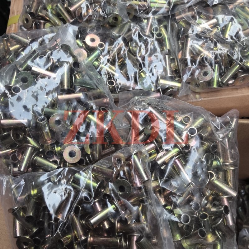 Truck Axle Brake Shoe Parts Aluminum/Iron Plated Brass 8*22 10*20 10*22 Solid/Hollow Rivets Assembly for Truck Parts