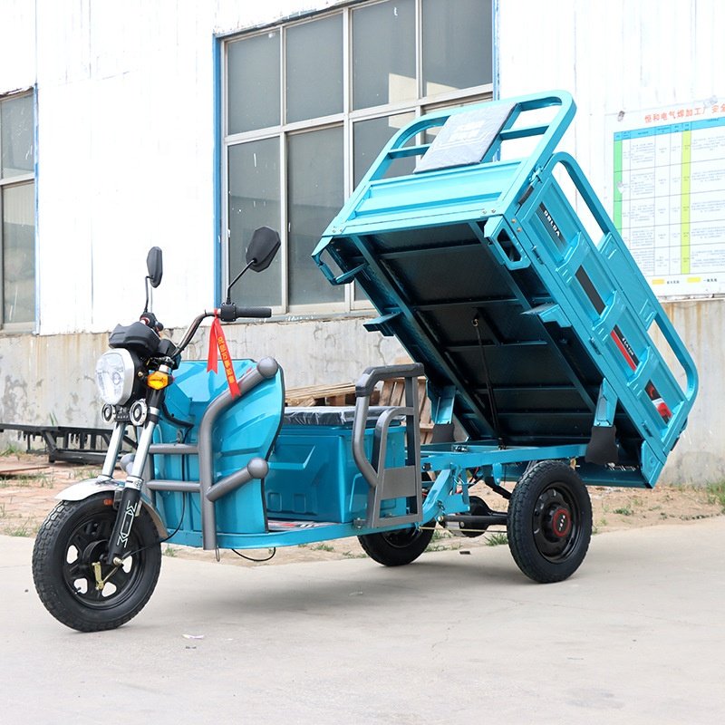 Popular High Quality 60V 30AH 45AH 52AH 1000W Three Wheels Triciclo Electrico Electric Cargo Tricycle