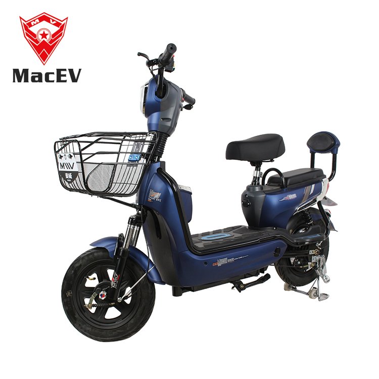 Indian Electric Bicycle for Men Woman CKD