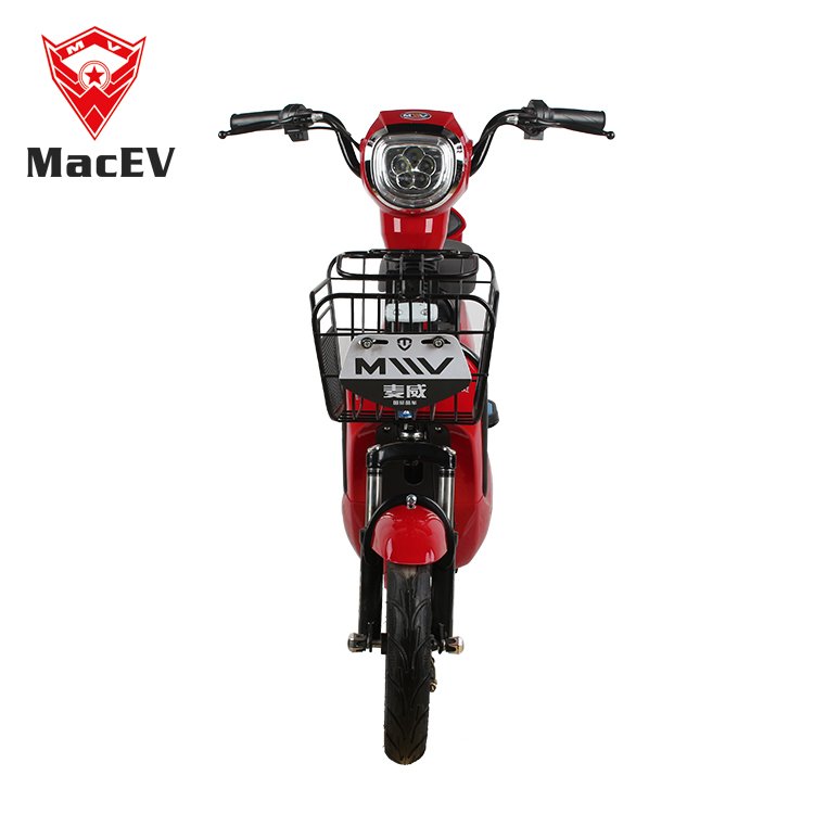 Indian Electric Bicycle for Men Woman CKD