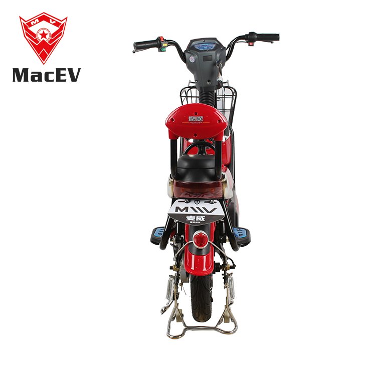 Indian Electric Bicycle for Men Woman CKD