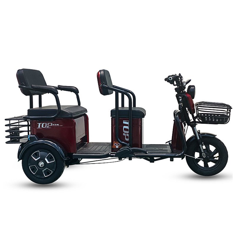 Factory Wholesale Philippines 3 Wheel Adult Passenger Cargo Pedicab Electric Trike