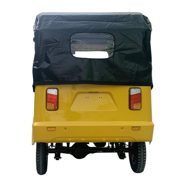 Bajaj Three Wheel Adult Petrol Tricycles for 3 Passengers Automatic Motorcycle