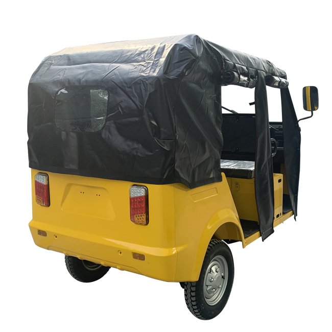 Bajaj Three Wheel Adult Petrol Tricycles for 3 Passengers Automatic Motorcycle