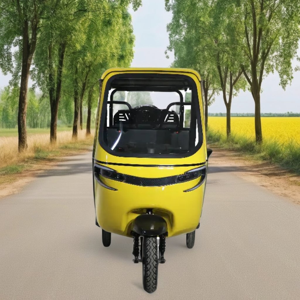 QSD Fashion Design Electric 1200W Auto Rickshaw 3 Wheeler Triciclo Eléctrico for Africa Market Wholesale EEC Certificate