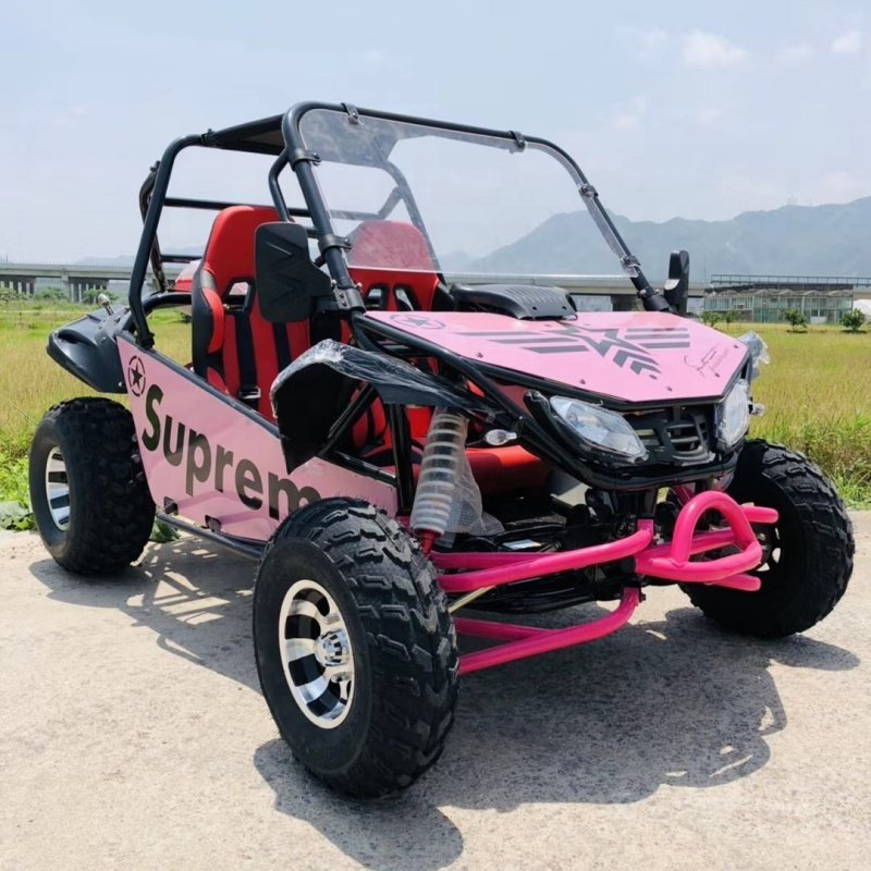 Factory Wholesale 200cc 300cc Hydraulic Disc Beach Buggy Off Road Adultos Farm Buggies