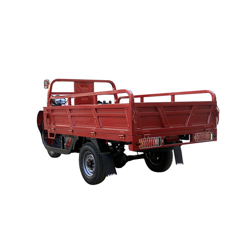 High Quality Wholesale Guardrail 5-speed Sequential Motor Tricycle