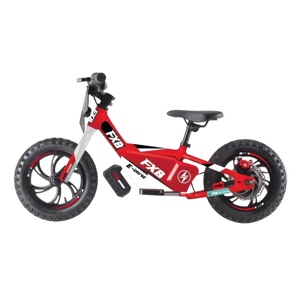 2024 250W 36V 16inch Children No Pedal Bicycle, Electric Scooter Powered Kids Baby Self Mini Balance Bike