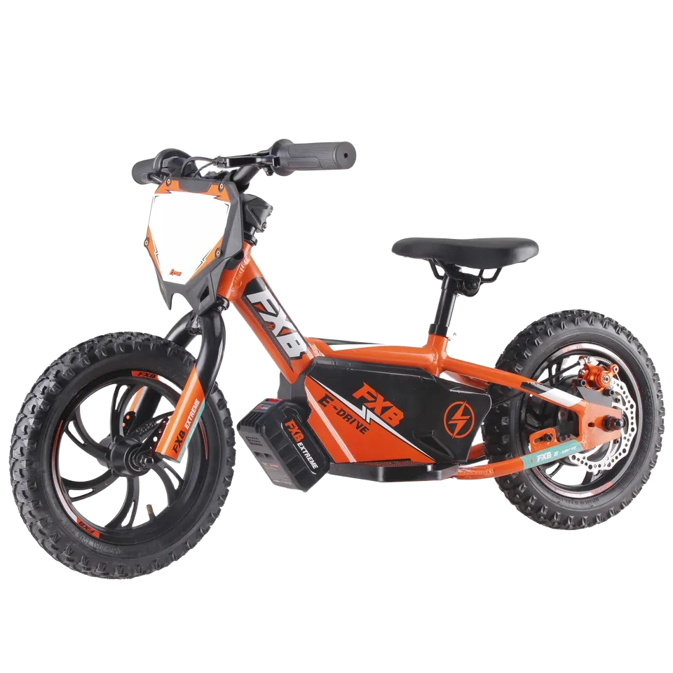 2024 250W 36V 16inch Children No Pedal Bicycle, Electric Scooter Powered Kids Baby Self Mini Balance Bike
