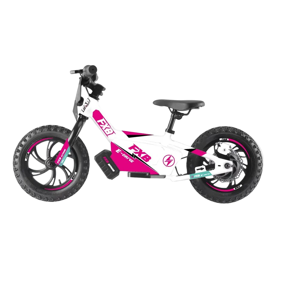 2024 250W 36V 16inch Children No Pedal Bicycle, Electric Scooter Powered Kids Baby Self Mini Balance Bike