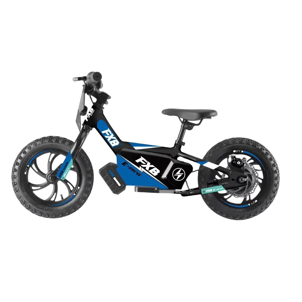 2024 250W 36V 16inch Children No Pedal Bicycle, Electric Scooter Powered Kids Baby Self Mini Balance Bike